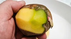Zelené zemiaky: dajú sa jesť a prečo zezelenajú