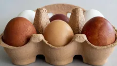 3 spôsoby, ako zistiť, že vajcia v chladničke sú už pokazené – je to jednoduchšie, ako sa zdá